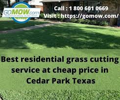 Pin On Grass Cutting