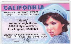 Mandy Moore Los Angeles CA California Drivers License