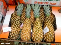 Ananas Pain De Sucre Categorie 1 Benin Producteur Conventionnel Costabenin Libertyprim