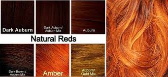 ginger hair color dye best on dark skin chart how to use