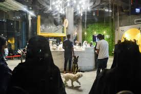 300 bellevue, wa 98005 (ca#: Inside Saudi Arabia S First Dog Cafe In The Coastal City Of Khobar