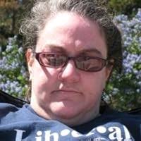 Wild Goose Chase (A Quilting Mystery, #1) by Terri Thayer