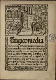 La Celestina El Amor De Calisto Y Melibea Celestina Libro De Diseno De Inspiracion Renacimiento Literatura