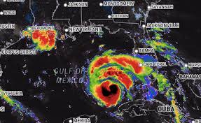 Don't shop hurricane preparedness before reading these reviews. 3oouukk Uqhqrm