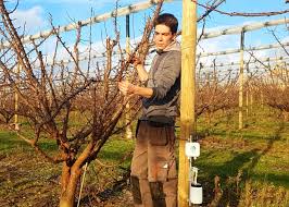 La météo agricole propose des prévisions météorologiques agricoles à 10 jours, météo heure par heure sur 48h et prévision de pluie dans l'heure pour les villes du it is suitable for many different devices. Archives Des Meteo Agricole Weenat