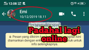 Dengan membuat akun wa kita terlihat offline, maka kita bisa fokus. Tutorial Agar Whatsapp Terlihat Offline Berhari Hari Padahal Aslinya Gue Online Tanpa Ribettt Youtube