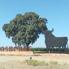 Tras atravesar los viñedos en plan falcon las bodegas osborne, se encuentra en la maravillosa ciudad de malpica de tajo. Jardines De Bodega Osborne En Malpica De Tajo Picture Of Bodegas Osborne Malpica De Tajo Tripadvisor