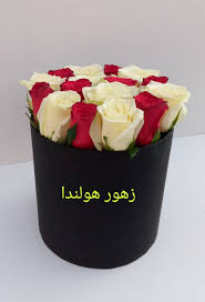 Through our network of more than 500 connected florists, your bouquet will be delivered by the best local florist in holland. Ø²Ù‡ÙˆØ± Ù‡ÙˆÙ„Ù†Ø¯Ø§ Holland Flowers Photos Facebook