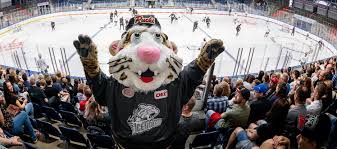 Maybe you would like to learn more about one of these? Wir Verlosen Tickets Fur Die Ice Tigers