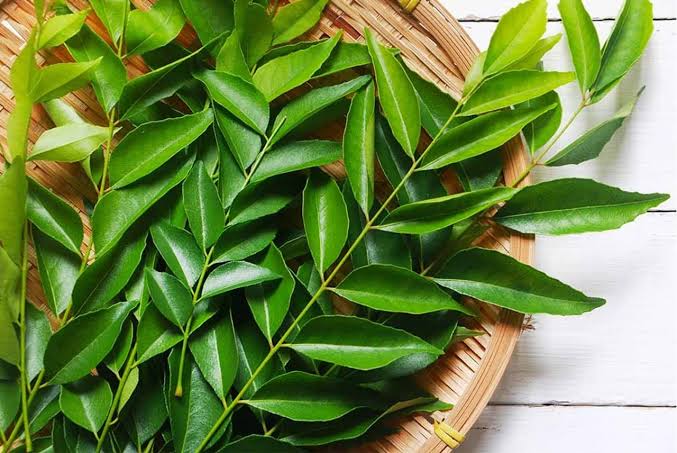  curry leaves