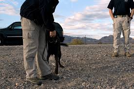 Check spelling or type a new query. Top 10 Effective Ways To Find Lost Pets Useful Tips To Protect Them Reolink Blog