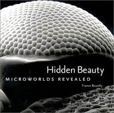 We saw whales from the sky and this was the best way to see the beauty of the islands. Hidden Beauty Microworlds Revealed Amazon De Bourely France Fremdsprachige Bucher