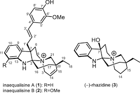 Image result for Voacanga pachyceras
