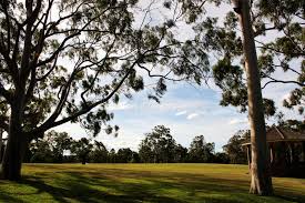 Parramatta park is a major urban park and historic site in parramatta in western sydney, australia. 195 Parramatta Park Photos Free Royalty Free Stock Photos From Dreamstime