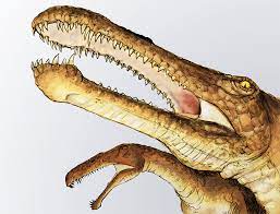 Please, don't laugh at this, at least, don't let those. The 10 Strangest Dinosaur Names