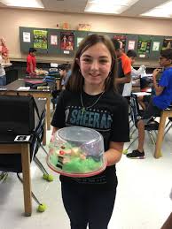 Albany, ny > household items. ØªÙˆÙŠØªØ± First Colony Middle School Ø¹Ù„Ù‰ ØªÙˆÙŠØªØ± 3d Models Of Plant And Animal Cells Using Random Household Items Students Then Had To Justify Materials Used Https T Co Ululnjor1k