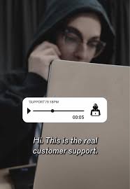 Decoding Bank Impersonation Scams with Experts