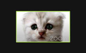 This video grab courtesy of the 394th district court of texas shows texas lawyer rod ponton appearing as a cat during a virtual hearing of the 394th district court of. How To Turn On Zoom Kitten Filter