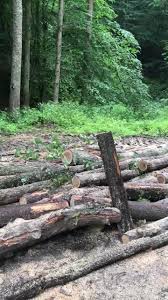 Descărcați această fotografie gratuită despre lemne de foc din lemn pădure din vasta bibliotecă a pixabay de imagini și clipuri video de domeniu public. Lemne De Foc Home Facebook