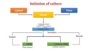 Maybe you would like to learn more about one of these? Lecture Of Subject Lecture 2 Dr Sharafaldin Almusawi