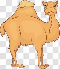 Superb and highly memorable songs lavishly accented with deep keyboard (organ & mellotron) sounds creating a very spacey atmosphere. Baby Emoji Bactrian Camel Camelid Toys Transparent Png