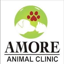 Amore Animal Clinic Photos Facebook