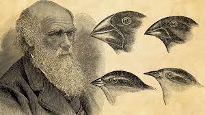 Charles Darwin | Biography, Education, Books, Theory Of Evolution, & Facts  | Britannica
