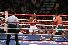 Not in rating the fighter is included in the rating after 5 fights. Floyd Mayweather Jr Wikipedia