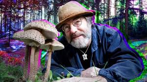 Psilocybe Stametsii: New Magic Mushroom Honors Paul Stamets
