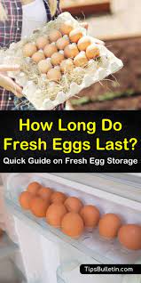 A Quick Guide On How Long Fresh Eggs Last