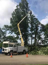 Order online tickets tickets see availability. Campbell Tree Service Working Today And Campbell Tree Service Facebook