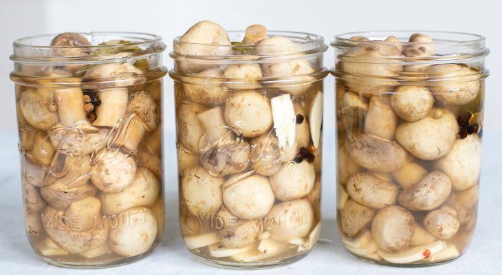 Canned Mushrooms Sourcing Origin