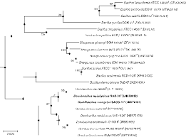 By clicking the 'get a free quote' button below, i agree that an adt specialist may contact me via text carbon monoxide detectors quickly alert you to dangerous levels of the odorless, colorless gas in. Domibacillus Mangrovi Sp Nov And Domibacillus Epiphyticus Sp Nov Isolated From Marine Habitats Of The Central West Coast Of India Microbiology Society