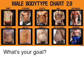 Male Bodytype Chart 20 Skny Ottermode Burt Bodybuilder