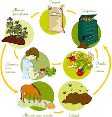 Resultado de imagen para compost