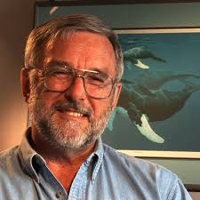 Dr. Søren Andersen Talks about Working with Marine Mammals by Aquatic  Mammals