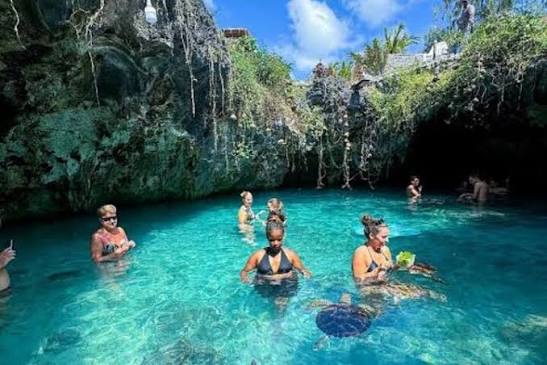 Jozani Forest, Zanzibar