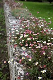 Garden Garden Spaces Garden Paths Garden Styles Planting Flowers Garden Design Garden Garden Spaces Garden In 2020 Garden Paths Cottage Garden Garden Layout