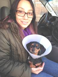 animals since 1948 Providing loving and humane treatment for