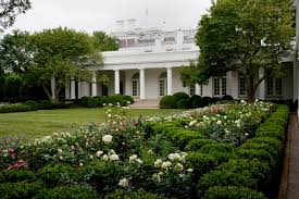 We have designed the site to be a simple, informative, yet powerful tool for you to use. Fact Check Rose Garden Redo Didn T Pull Cherry Trees Historic Roses