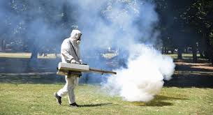 Las impresionantes lluvias en la región rusa de vorónezh han hecho que millones de mosquitos invadan sus calles y pueblos, dañando a los animales del mientras, los vecinos relatan en las redes sociales el sufrimiento de convivir con millones de estos insectos. áˆ Invasion De Mosquitos En La Costa Atlantica A Que Se Debe Este Fenomeno