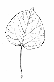 Tattoo Brainstorm Aspen Leaf And Then Add An The Actual Pawprint Of My Youngest Lab Aspen Aspen Trees Tattoo Tree Tattoo Tree Tattoo Arm