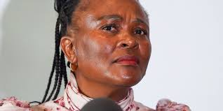 Mkhwebane's racist attack