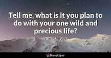 Mary Oliver Quotes - BrainyQuote