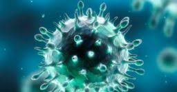 Coronavirus Un Documento Per La Valutazione Del Rischio