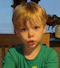 The Magic of Logic (2). Teaching young children the joy of…