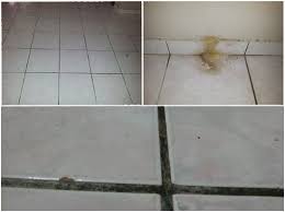 Jubin yang dipasang muka yang mempunyai kertas yang menutupi muka mereka memerlukan beberapa langkah tambahan letakkan kepingan mozek anda di atas lantai di mana anda merancang untuk memasangnya. Panduan Memilih Dan Pasang Jubin Dari Mml Tiles Makeover Denaihati