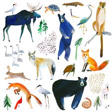 Canadian Native Animals Print Etsy Cute Art Animals Art