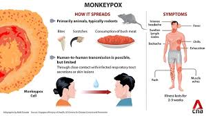 Monkeypox virus causes the disease in both animals and humans. Under The Angsana Tree First Case Of Monkeypox In Singapore