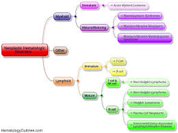 Hematologyoutlines Home